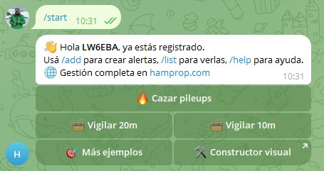 El bot responde a /start con botones: cazar pileups, vigilar 20m, vigilar 10m, más ejemplos y constructor visual
